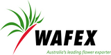 WAFEX new - Logo Aug 2012.jpg